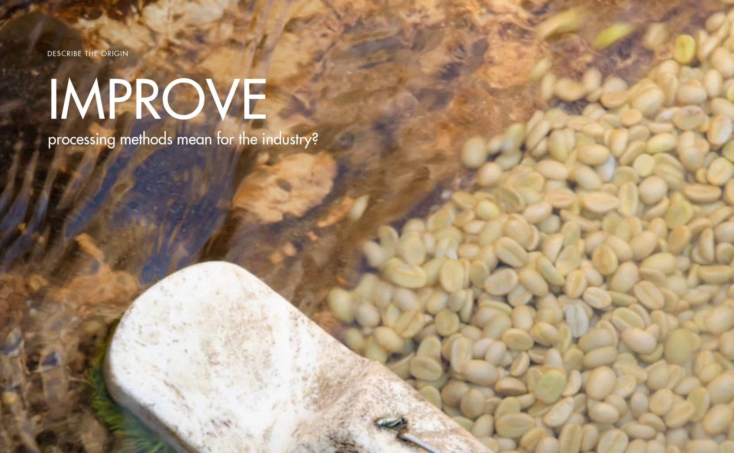 Improved coffee processing methods – A breakthrough for sustainable development